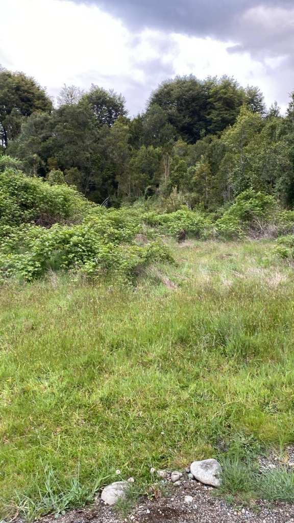 Putemún en Putemún, Chiloé