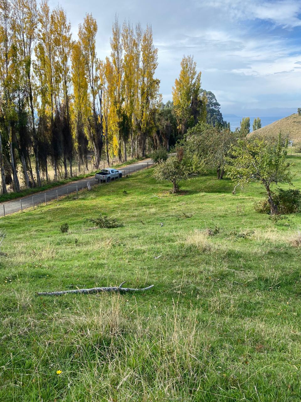 Quilquico